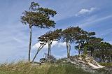 IMG_2494p