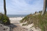 IMG_2496p